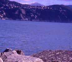 febbraio 2002